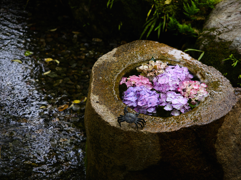 梅雨の戻り