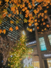 街角クリスマスツリー〜丸の内tiffany〜