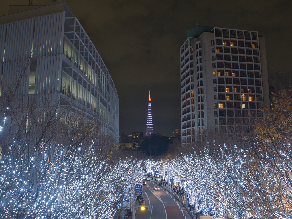 六本木からの東京タワー
