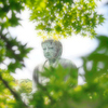 鎌倉大仏