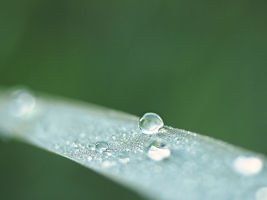 自然の神秘を見つけて幸せ気分