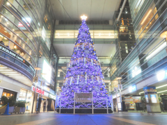 相模大野駅のクリスマス