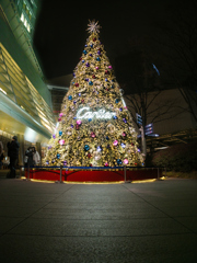 床も美しく、、、Cartierクリスマスツリー