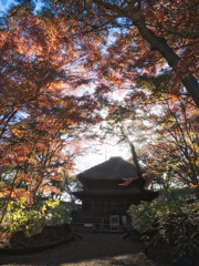 秋の横浜三渓園