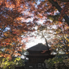 秋の横浜三渓園