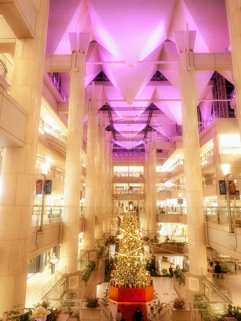 宮殿の中のクリスマスツリー