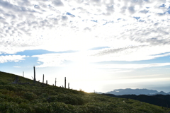大台ヶ原　散歩
