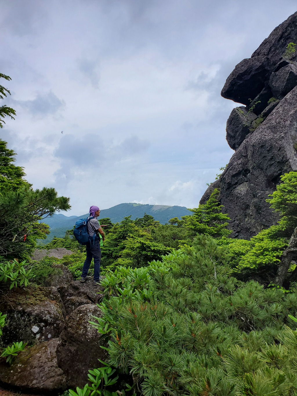 天狗の露地