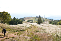 すすきの伊吹山