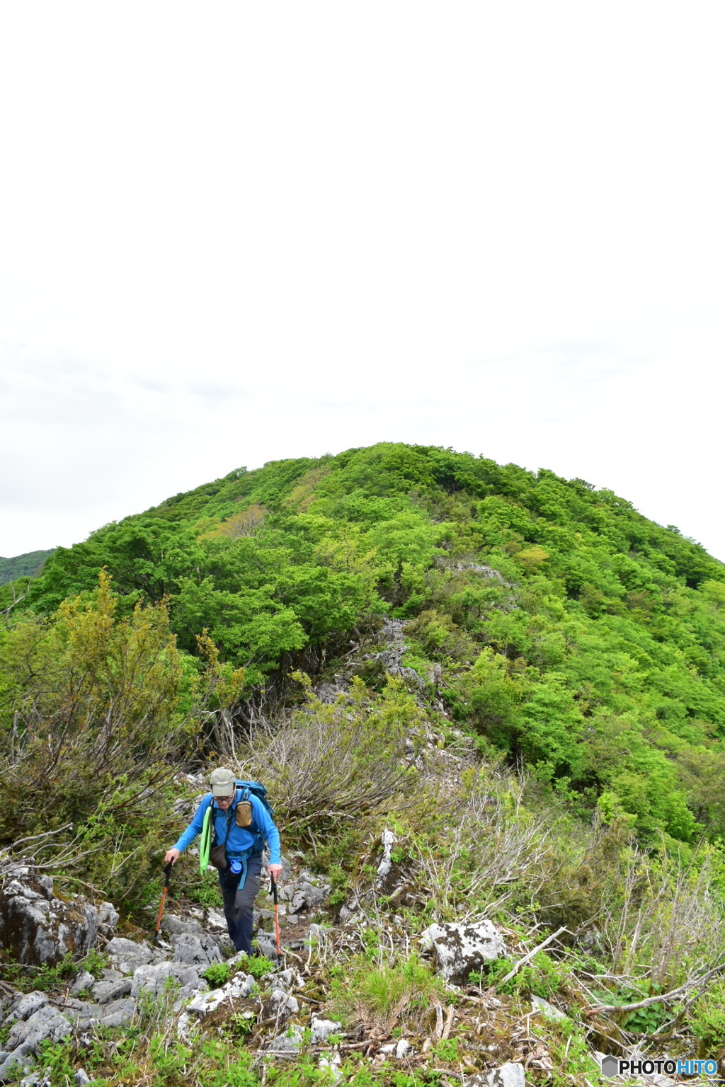 伊吹北尾根縦走路