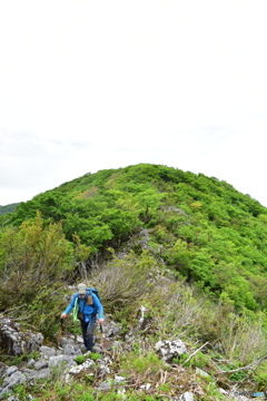 伊吹北尾根縦走路