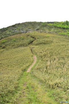 伊吹北尾根縦走路