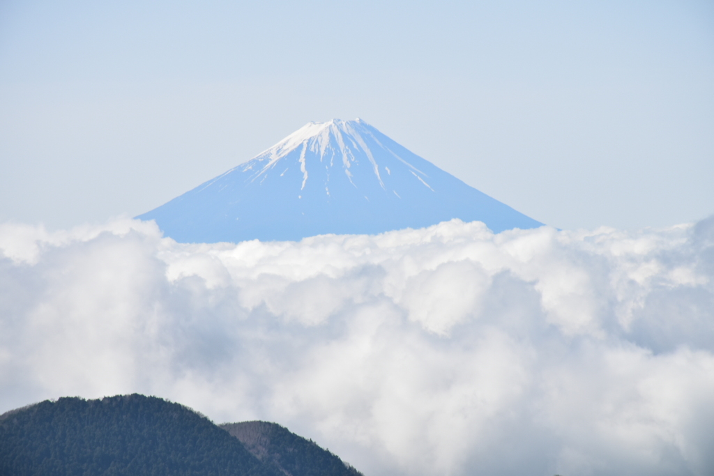 富士山　瑞牆山より