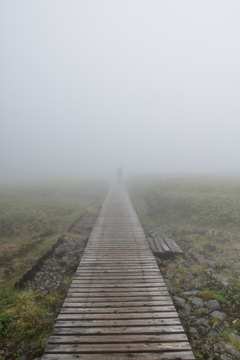 霧の白山