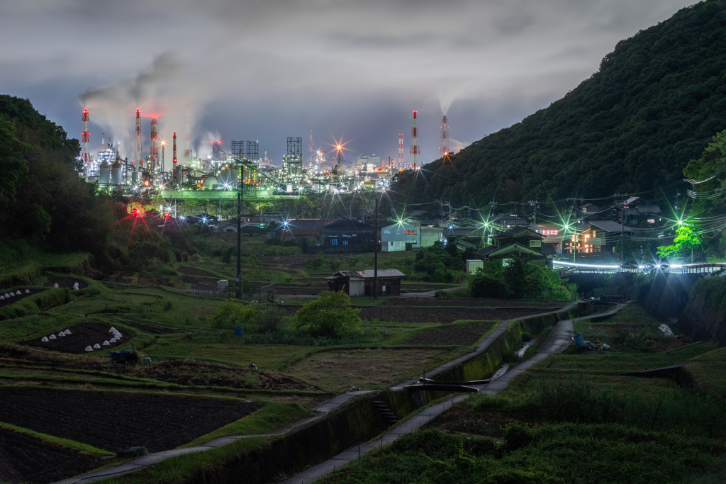 宇野津棚田