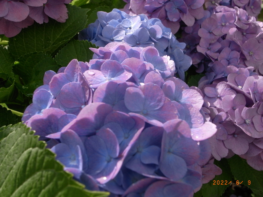 3EE78082-2420-40F5-9E64-0CA40A810A84