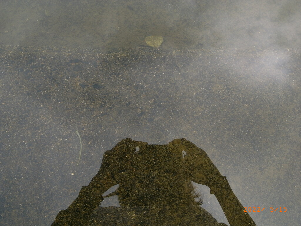 水辺の鏡