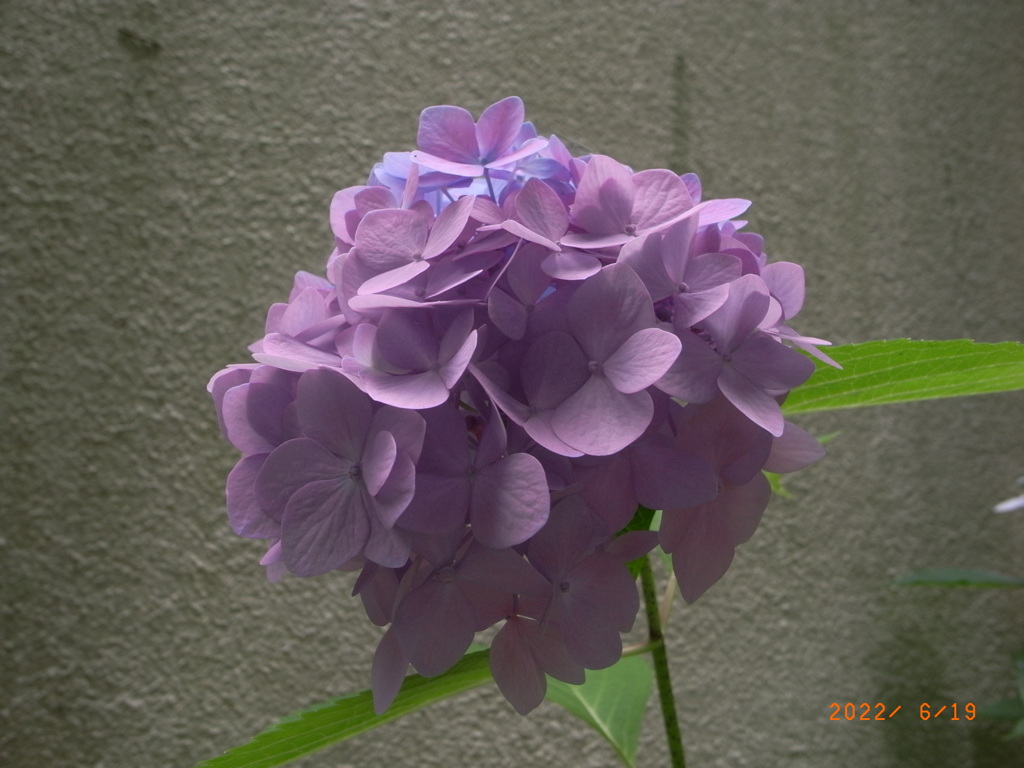 D0A302A6-B87B-441A-ABFB-8FF200934350