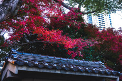 名所じゃなくても