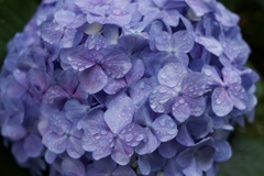 DD0567A0-2BB5-4056-BE7A-7C2F5C2A8AE5