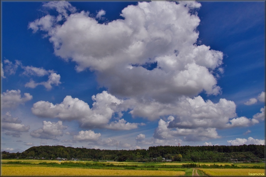 夏空、 雲風景 