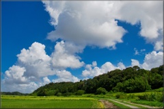 夏空/雲風景