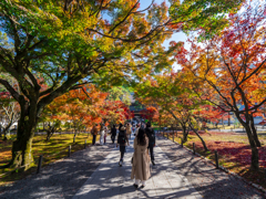 京都南禅寺 紅葉