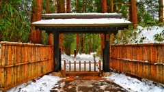 岩手県世界遺産中尊寺