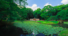 小石川後楽園