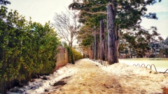 岩手県世界遺産毛越寺