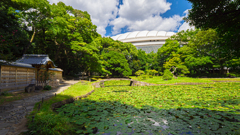 小石川後楽園