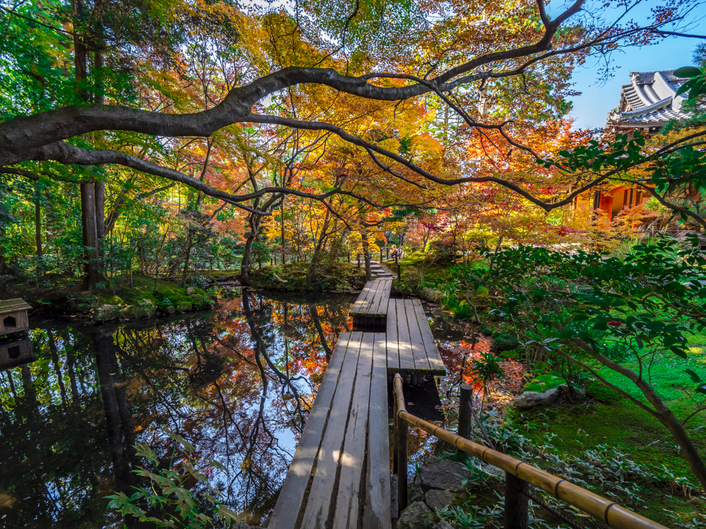 京都南禅寺 紅葉