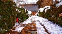 岩手県世界遺産中尊寺