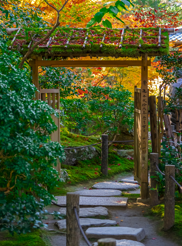 京都南禅寺 紅葉