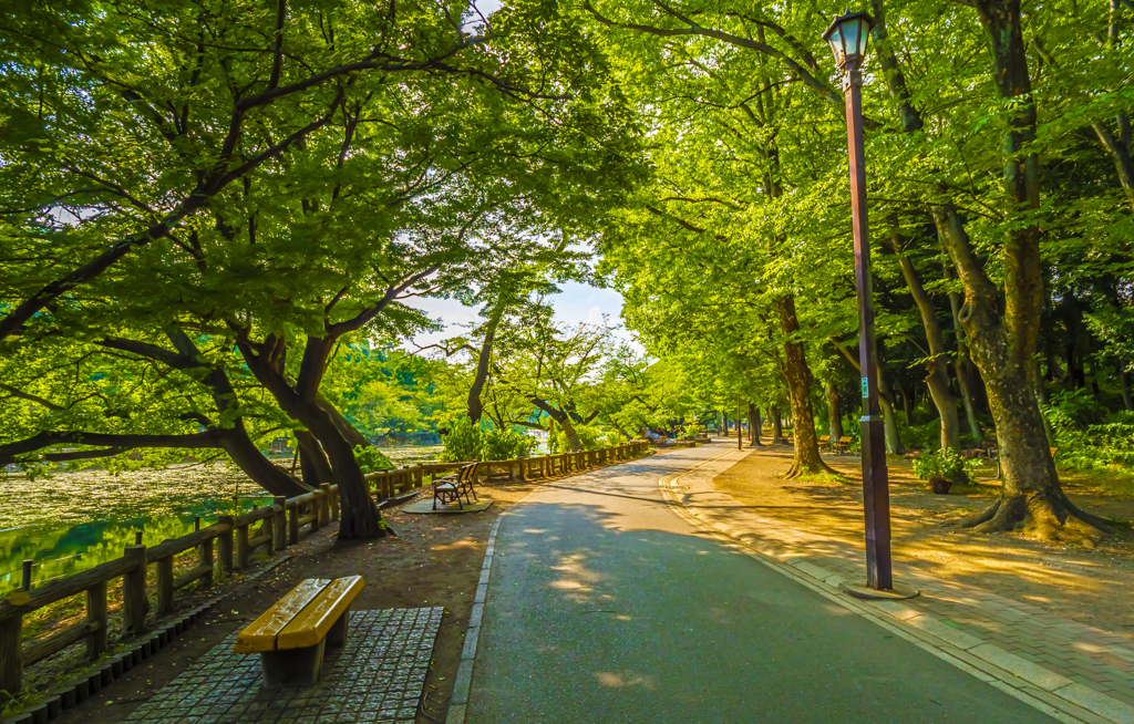 井の頭公園