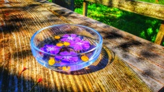 奈良県生駒市ラッキーガーデン