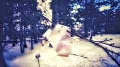 岩手県世界遺産毛越寺