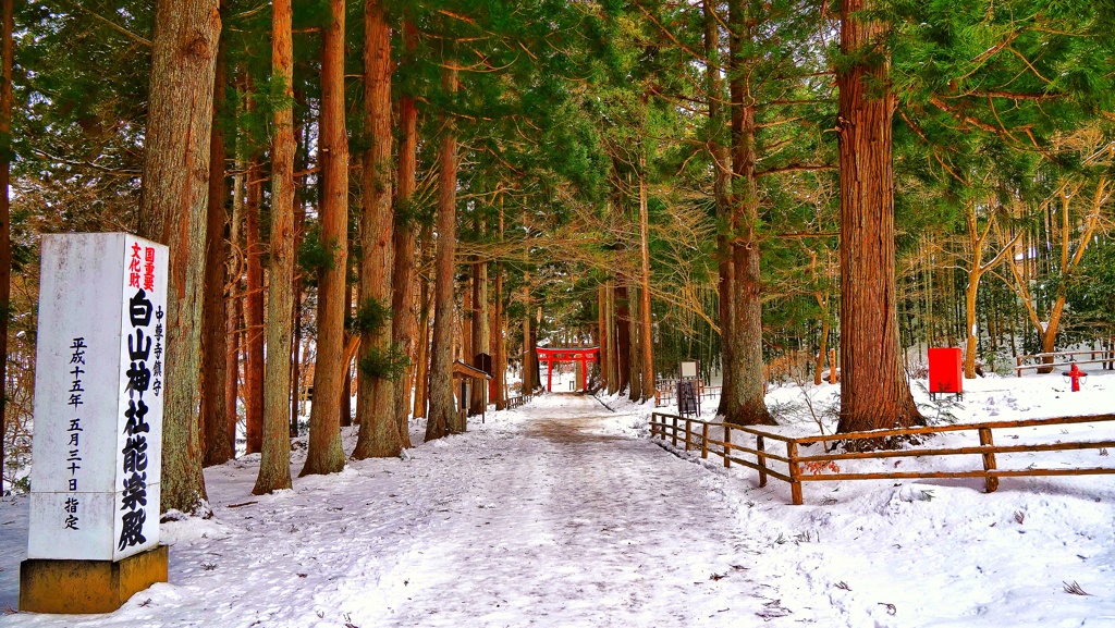 岩手県世界遺産中尊寺