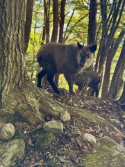 あなたはだれ？