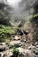 霧の登山道