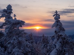 冬の夕焼