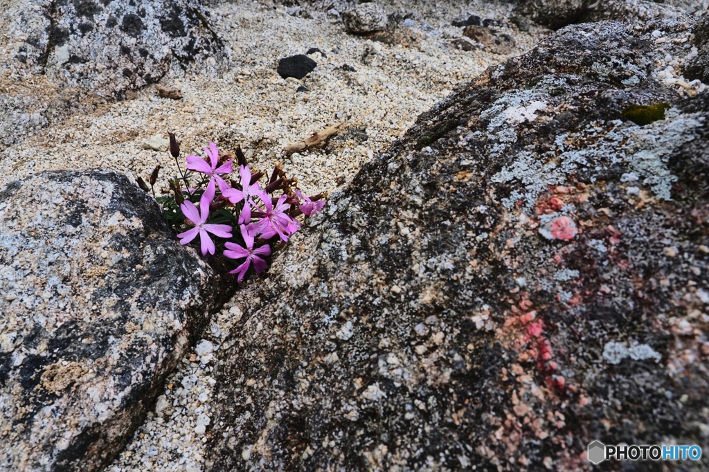 3EBE64FF-8C9F-4D23-85A0-3F9F0AD79D27