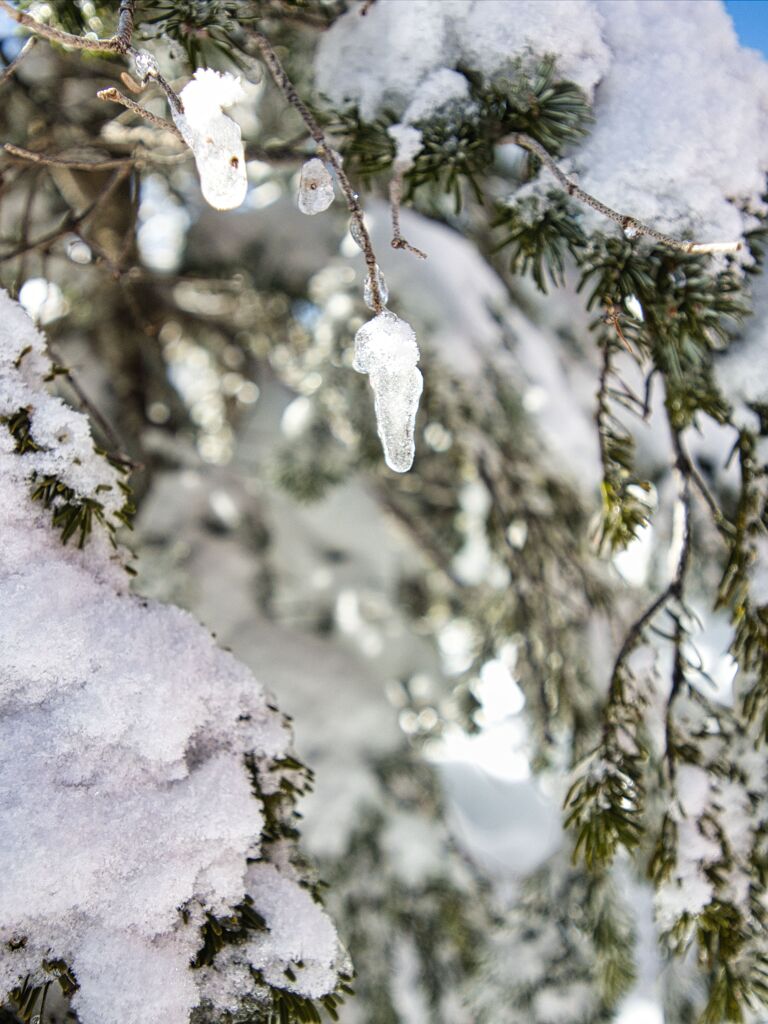 雪解け