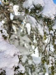 雪解け