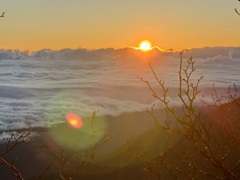 日出と雲海