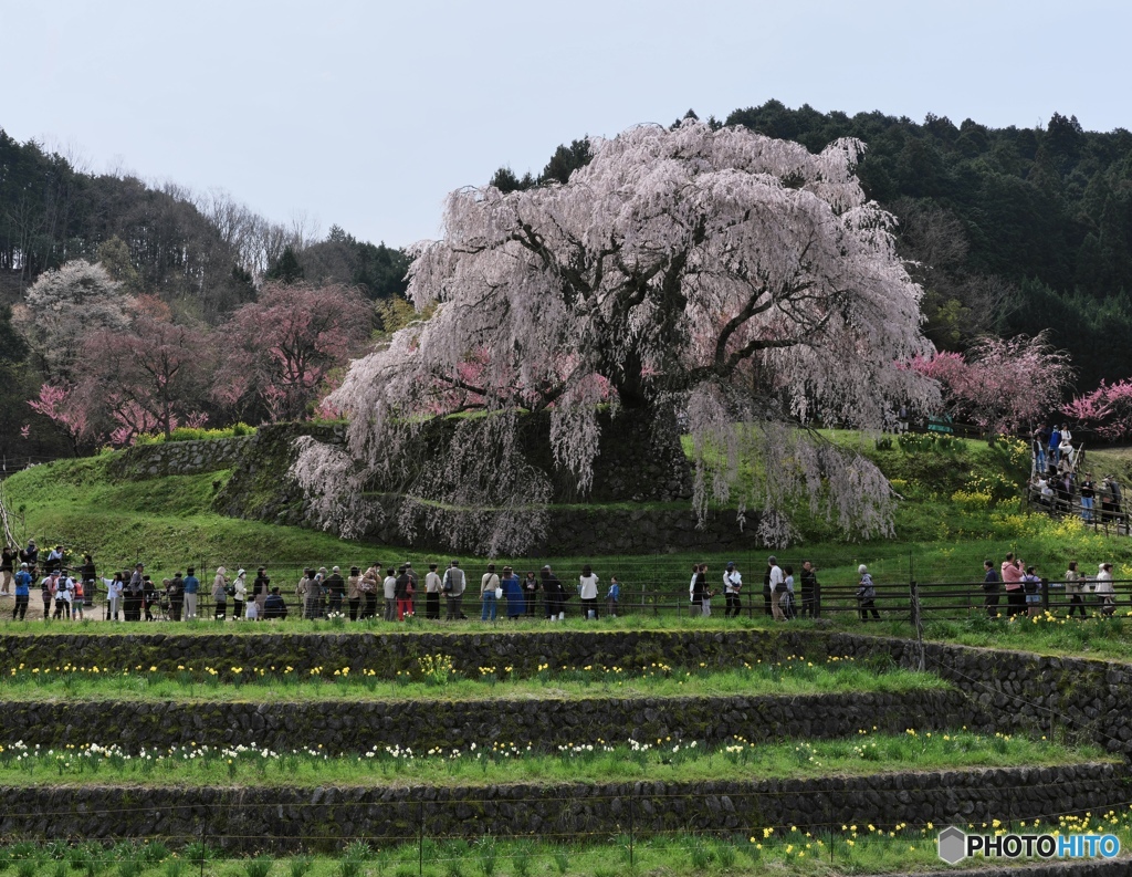 又兵衛さんたち