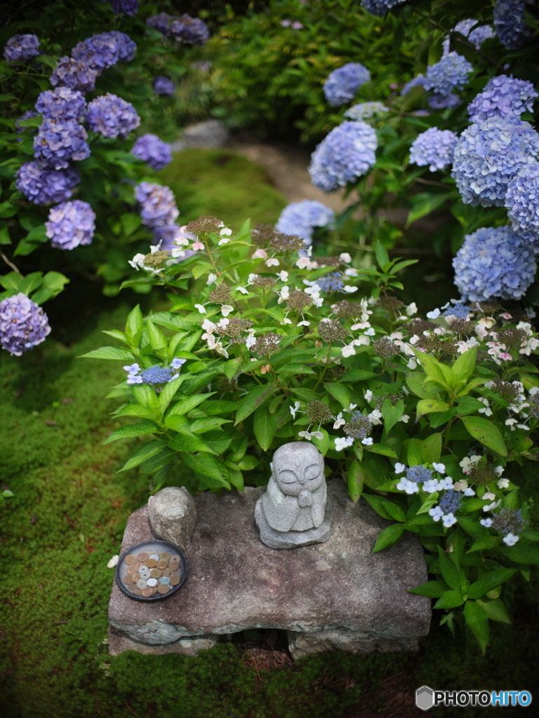 あじさい地蔵