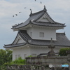 浄瑠璃姫の墓と東隅櫓