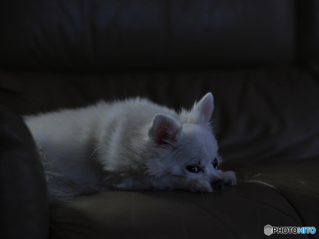 ホラー映画見てますねん