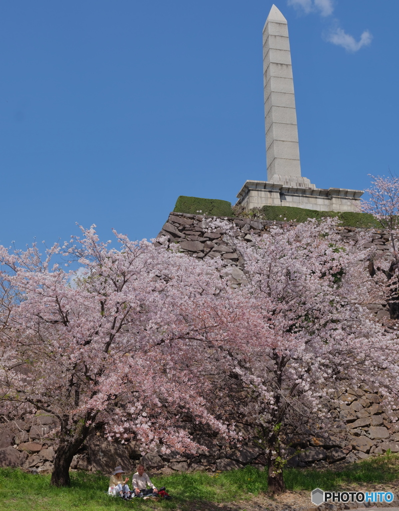 謝恩塔の下の桜の下で